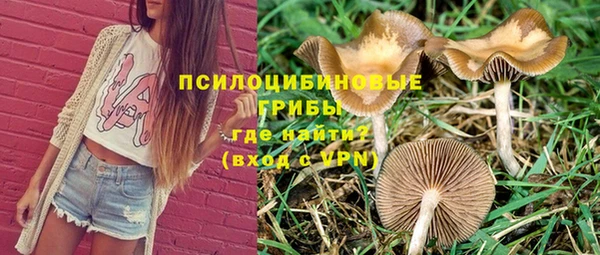спайс Алексин
