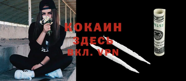 спайс Алексин