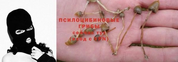 гидропоника Алексеевка