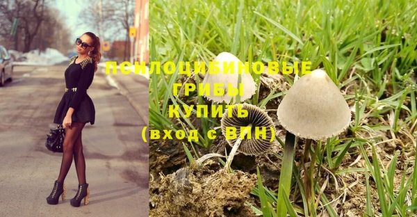 гидропоника Алексеевка