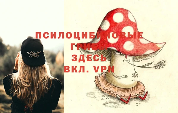 спайс Алексин