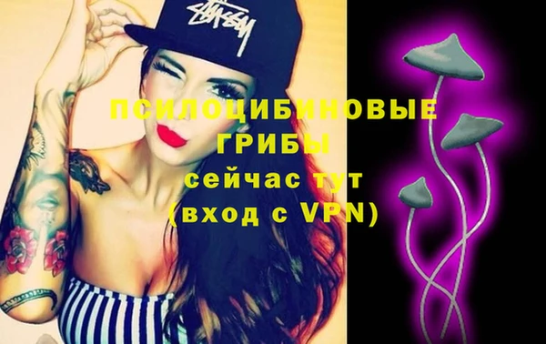 спайс Алексин