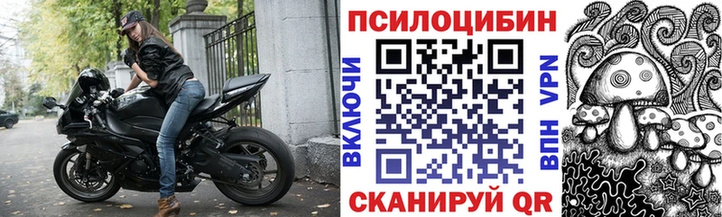 Псилоцибиновые грибы прущие грибы Арсеньев