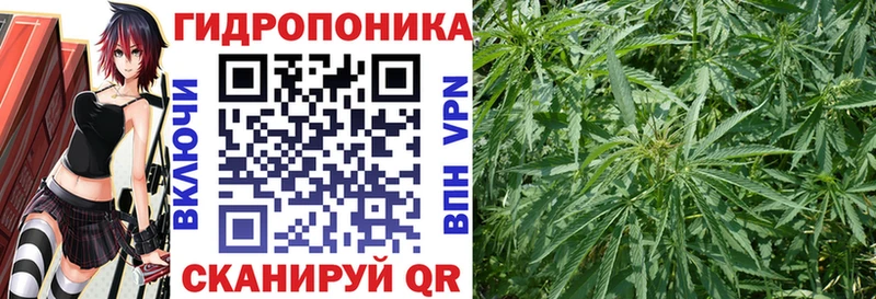 KRAKEN ONION  Арсеньев  МАРИХУАНА White Widow  где можно купить  
